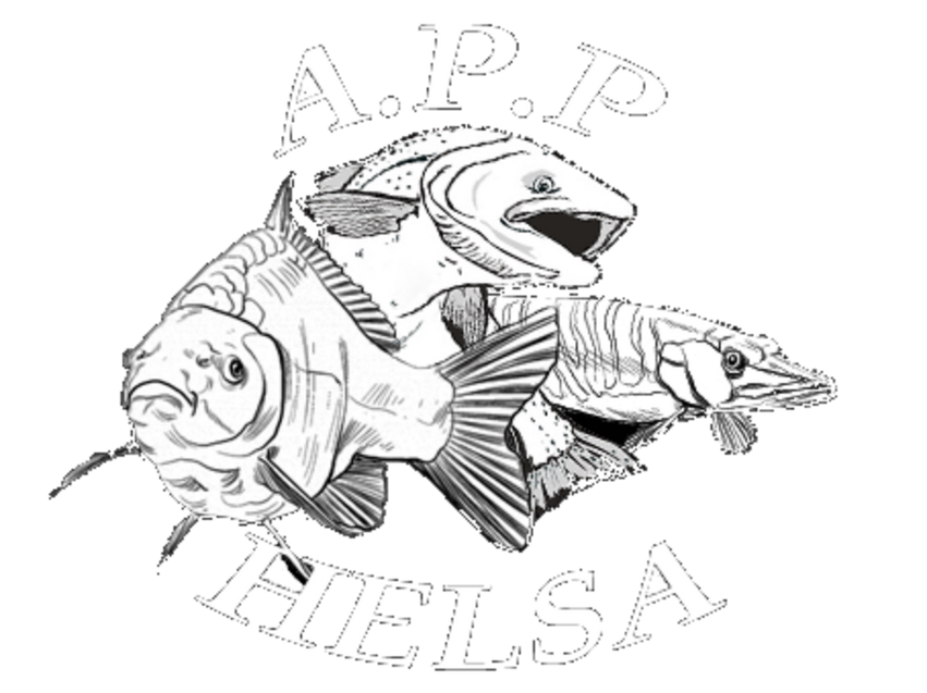 Association de Pêche & Pisciculture d’Hilsenheim