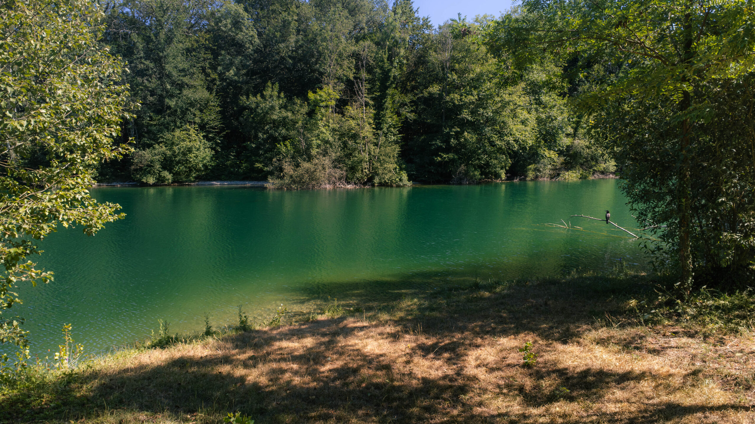 Gravière de Hilsenheim